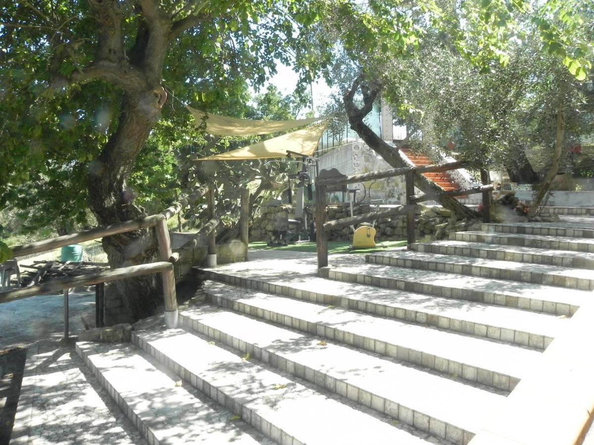 Agriturismo B&B Il Rifugio Di Nino Contursi Terme Exterior foto